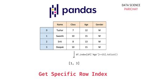 pandas access row by index|pandas print row by index.